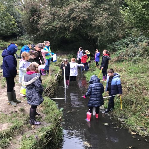 Year 4 - Selborne river studies